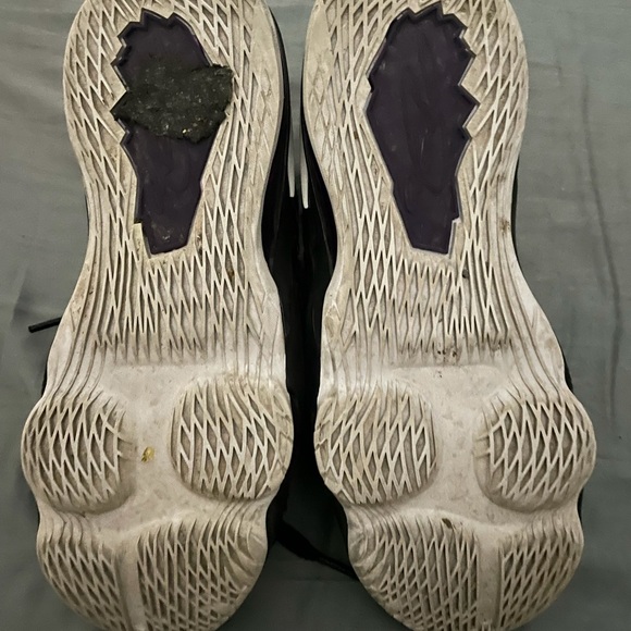 Lebrons - Picture 4 of 4